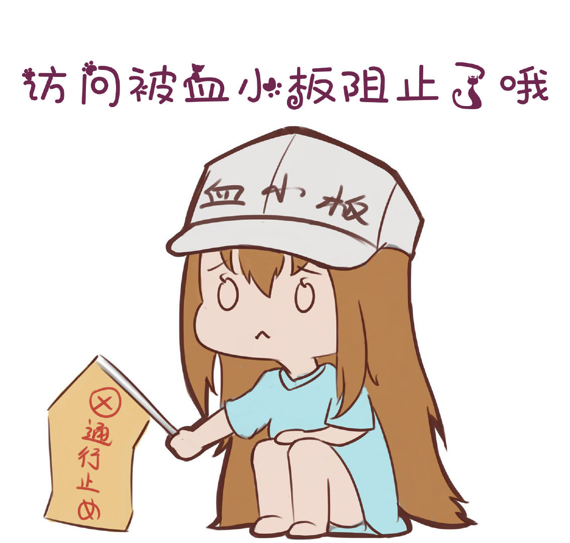 纯小白首次接触搭建请务必看完本教程在搭建也不迟-小凯资源网