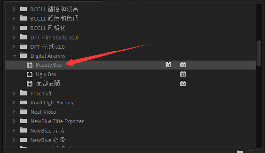 20260127161822281-磨皮插件位置